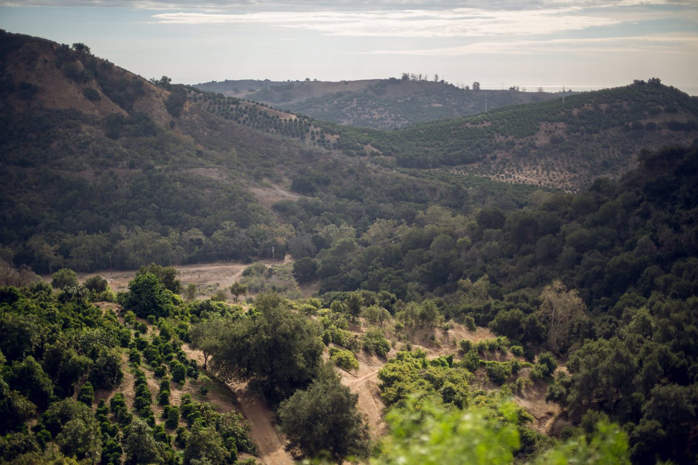 The Good Land Organics estate in Santa Barbara, California